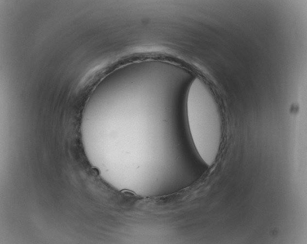 X0000114680967200910211028