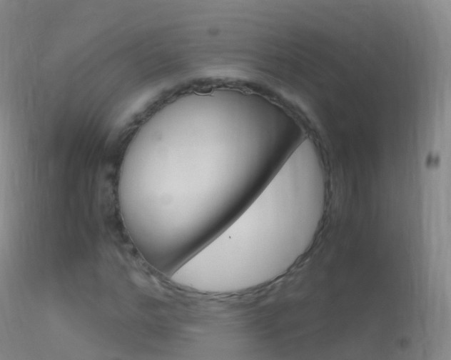 X0000114680968200910211028