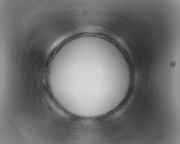 X0000114680970200910211028