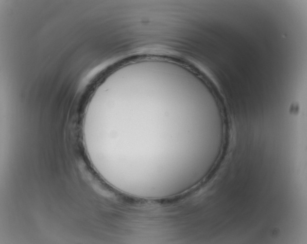 X0000114680971200910211028
