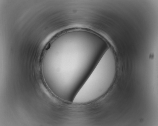 X0000114680972200910211028