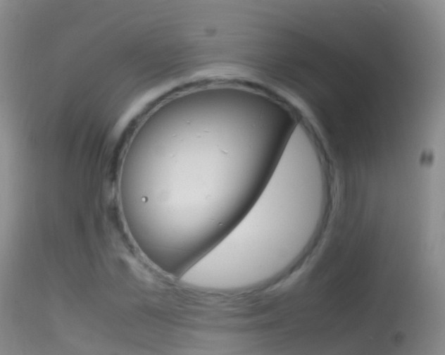 X0000114680973200910211028