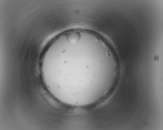 X0000114680974200910211028