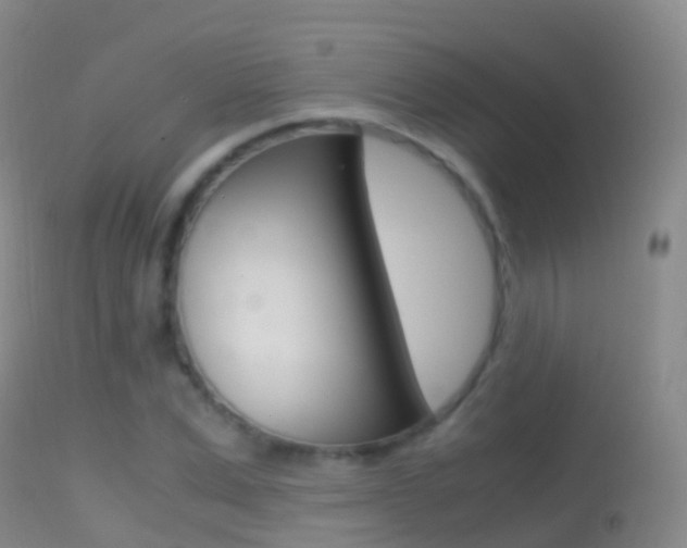 X0000114680975200910211028