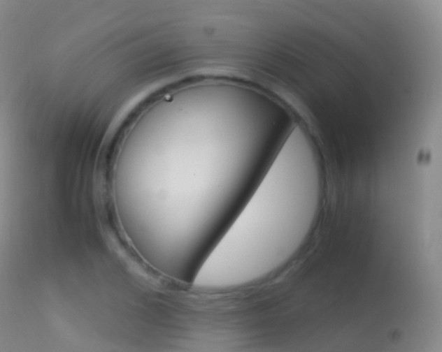 X0000114680976200910211028