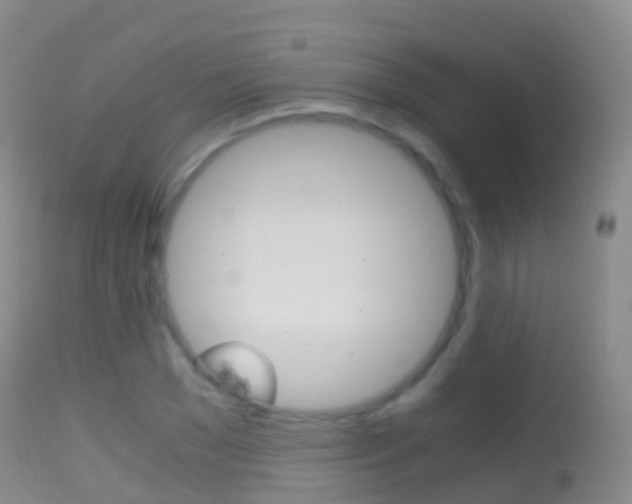 X0000114680977200910211028
