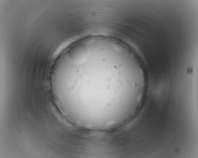 X0000114680978200910211028