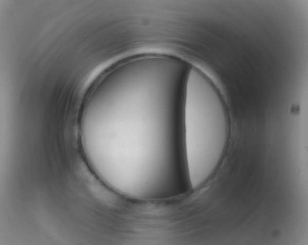 X0000114680980200910211028