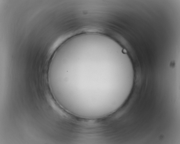 X0000114680986200910211028