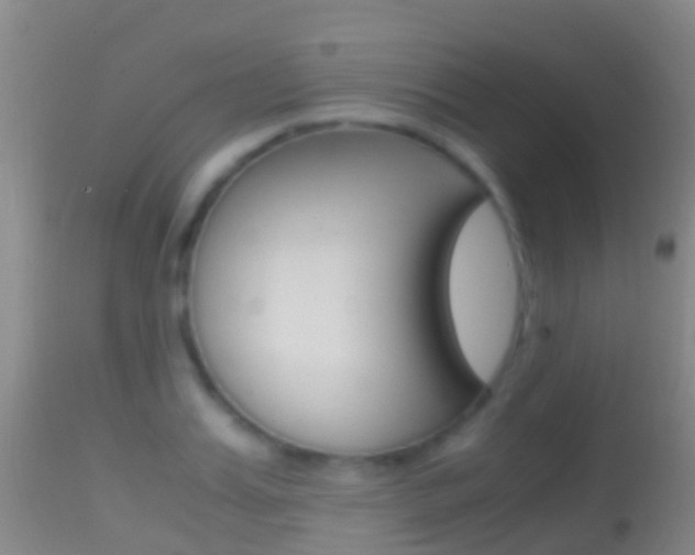 X0000114680987200910211028