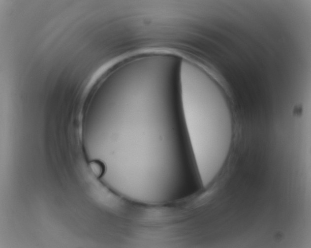 X0000114680988200910211028