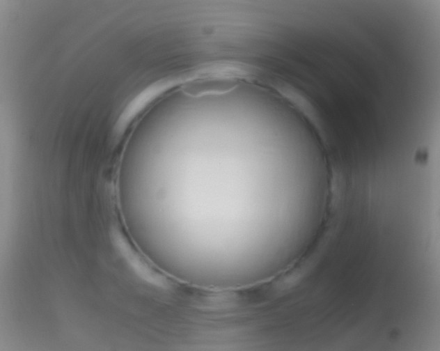 X0000114680989200910211028