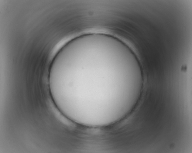 X0000114680990200910211028