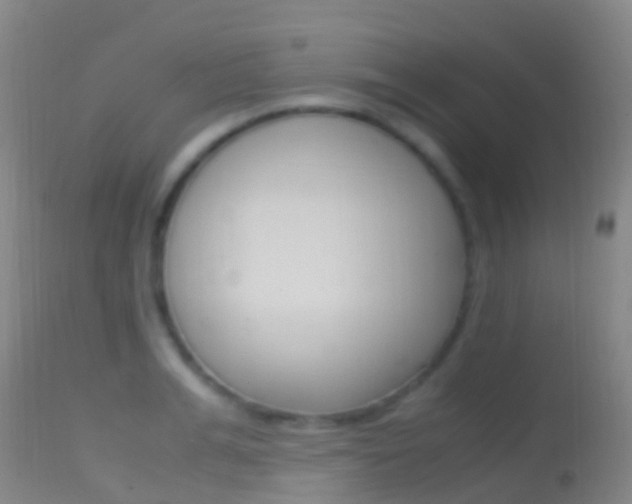 X0000114680991200910211028