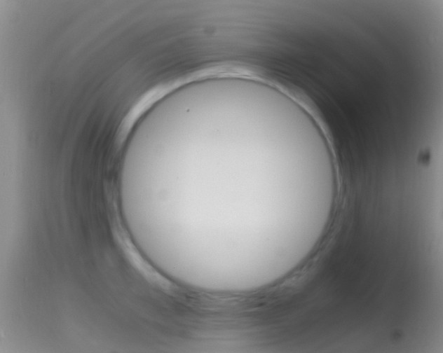 X0000114680997200910211028