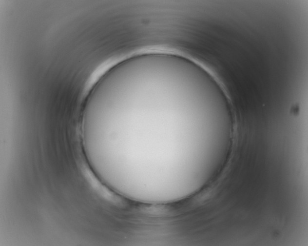 X0000114680998200910211028