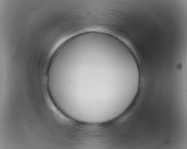 X0000114680999200910211028