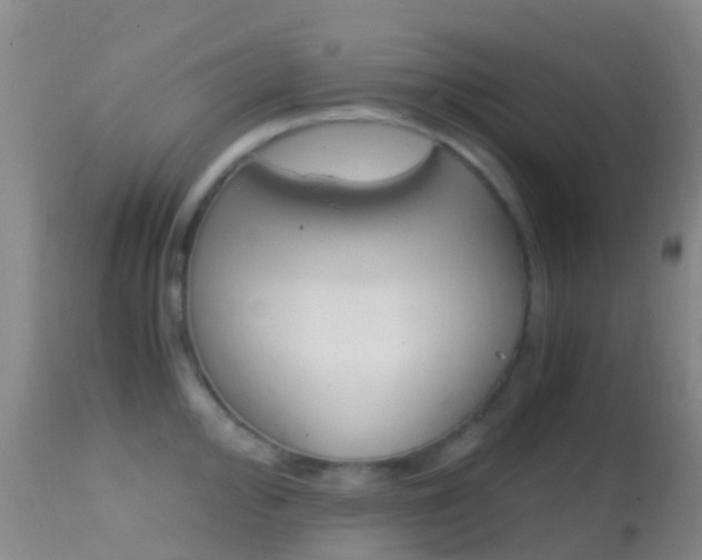 X0000114681000200910211028