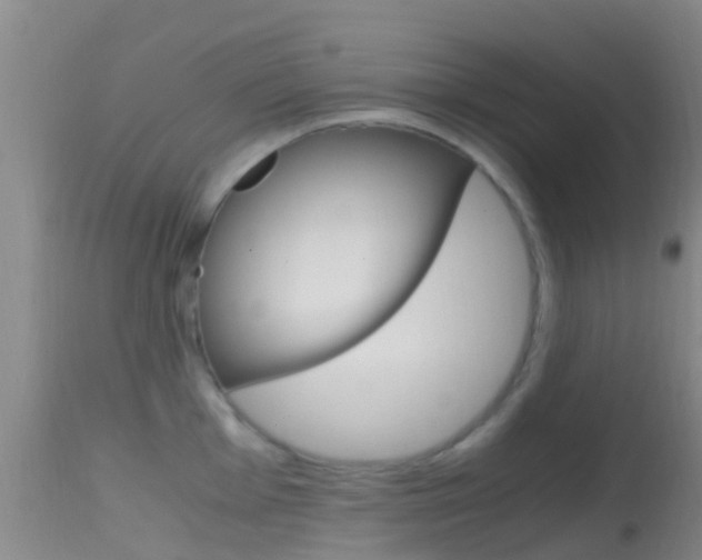 X0000114681001200910211028
