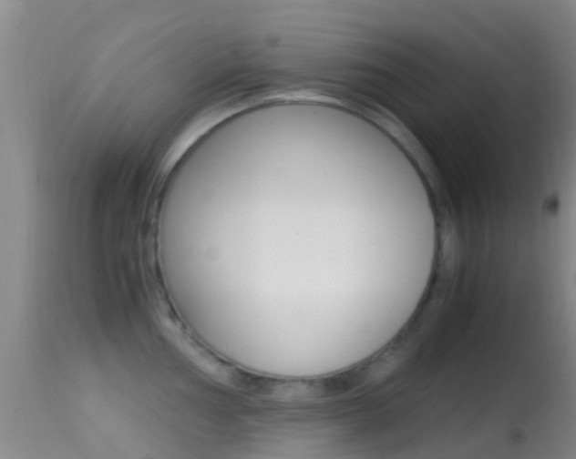X0000114681002200910211028