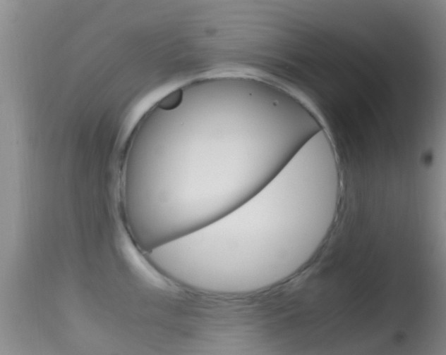 X0000114681003200910211028