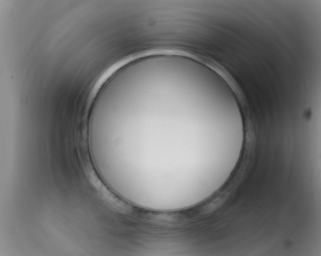 X0000114681004200910211028