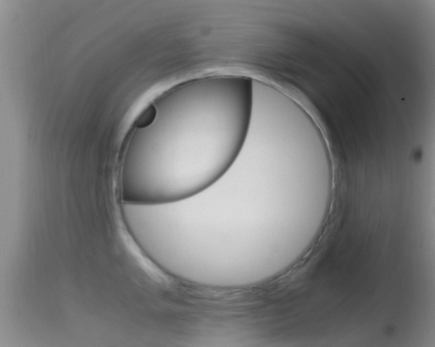 X0000114681005200910211028