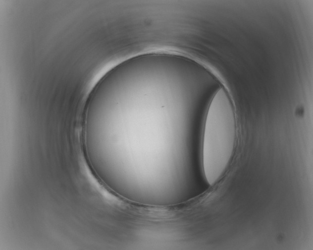 X0000114681007200910211028