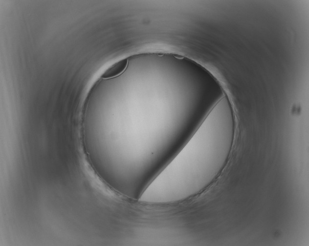 X0000114681008200910211028