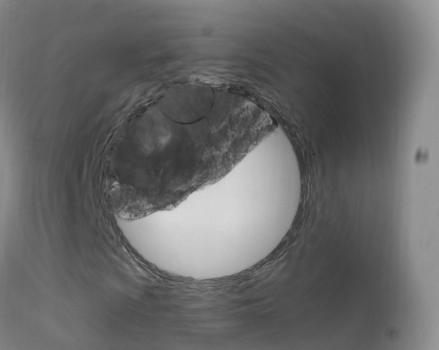 X0000114681009200910211027