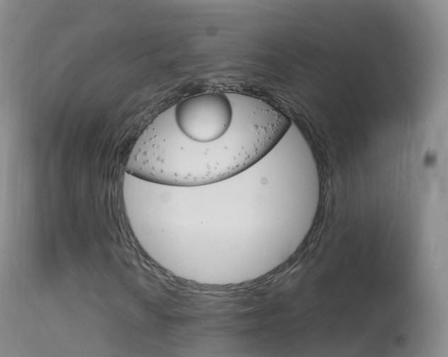 X0000114681010200910211027