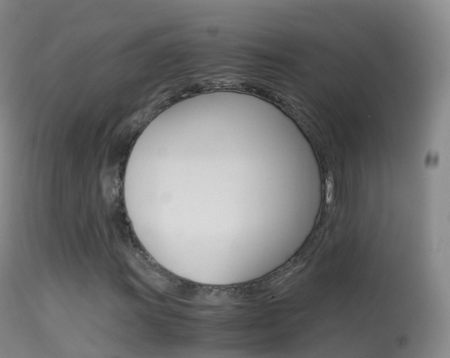 X0000114681011200910211027