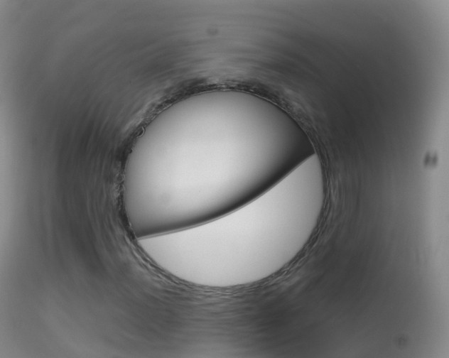 X0000114681012200910211027