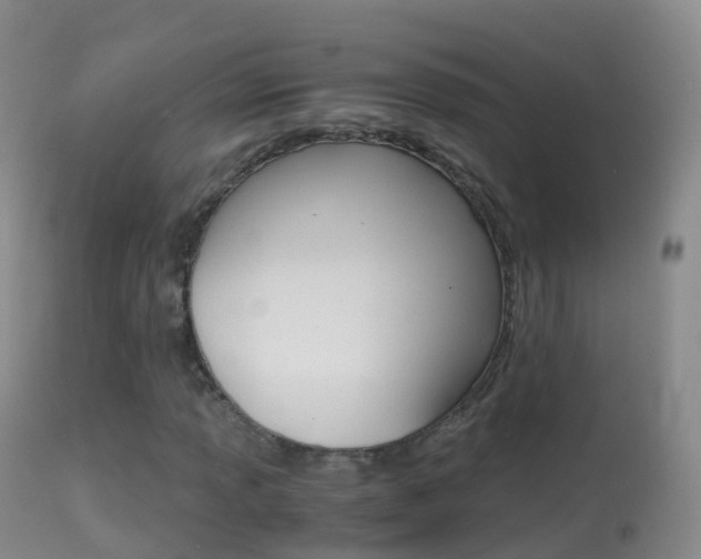 X0000114681013200910211027