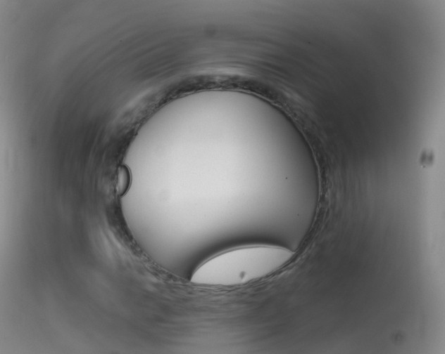 X0000114681014200910211027