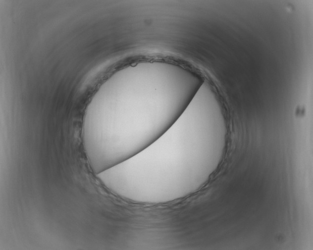 X0000114681016200910211027