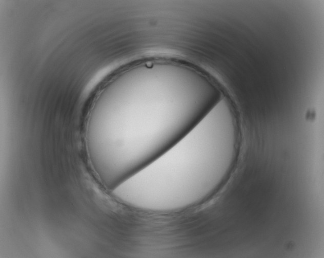 X0000114681022200910211027