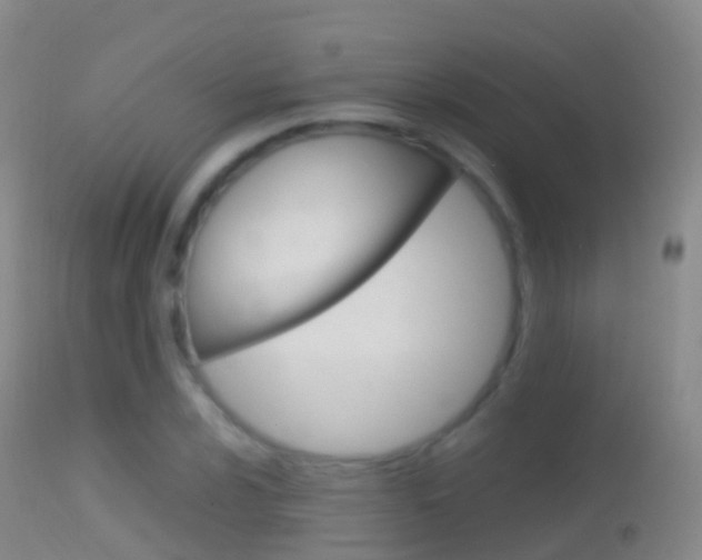 X0000114681024200910211027