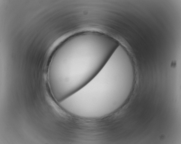 X0000114681028200910211027
