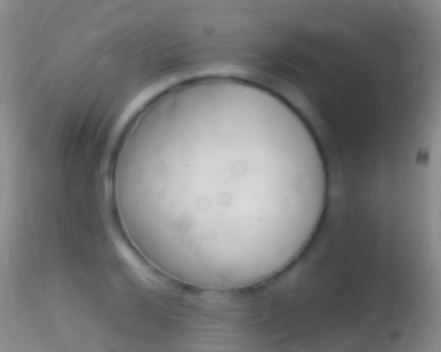 X0000114681032200910211027
