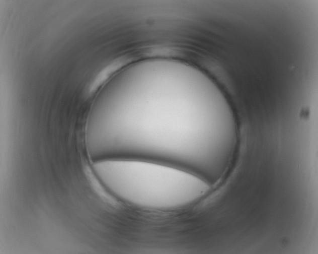 X0000114681033200910211027