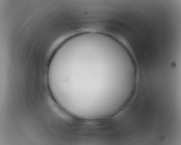 X0000114681035200910211027