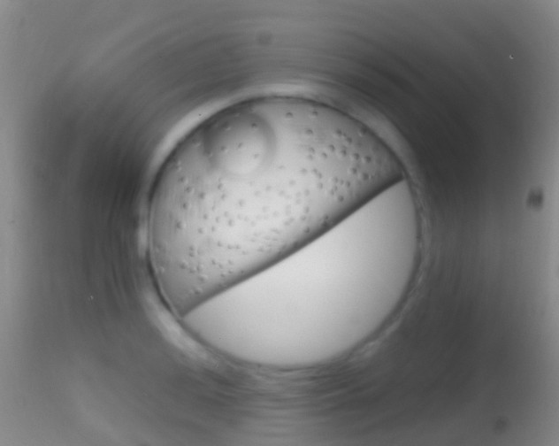 X0000114681036200910211027