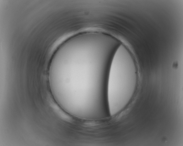 X0000114681037200910211027