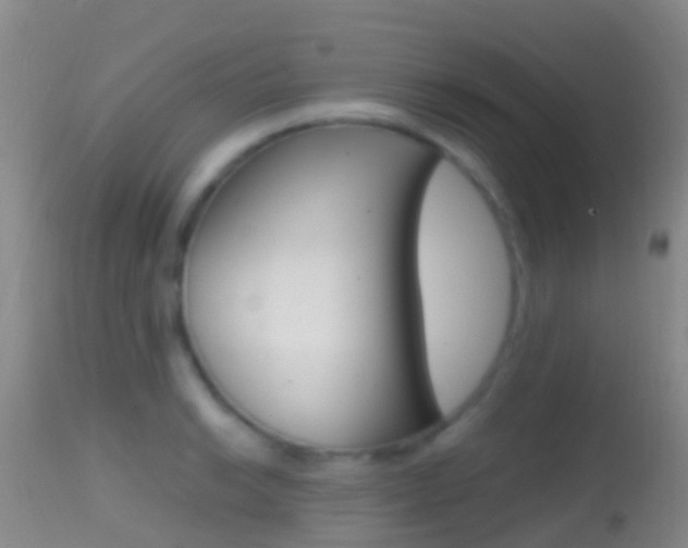 X0000114681038200910211027
