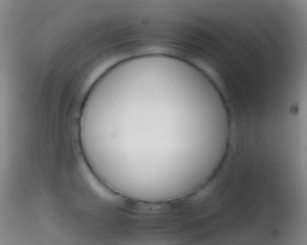 X0000114681039200910211027