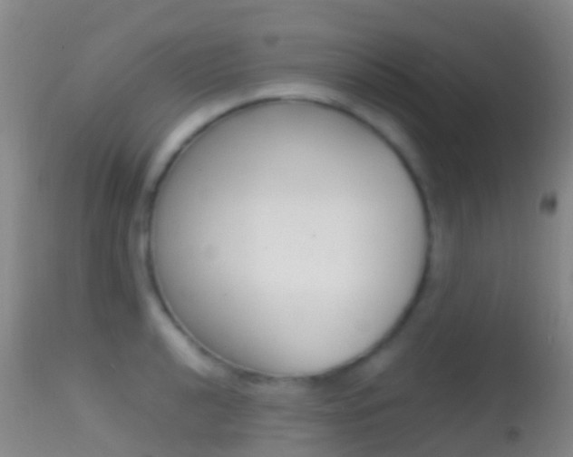 X0000114681040200910211027
