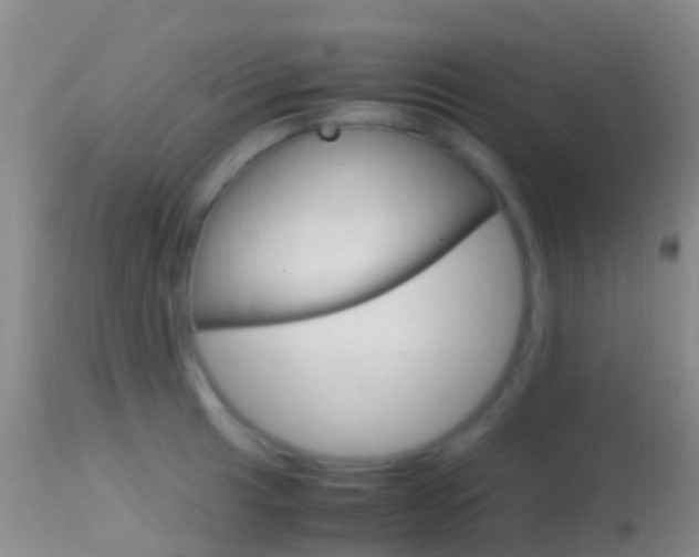 X0000114681041200910211027