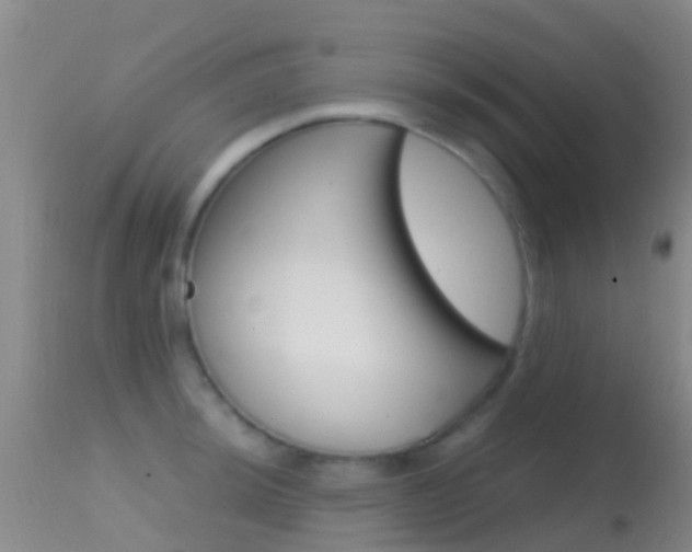 X0000114681044200910211027