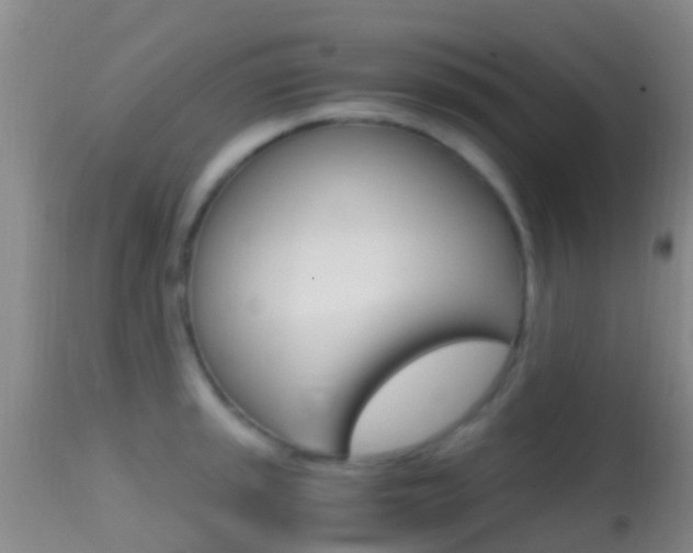 X0000114681045200910211027